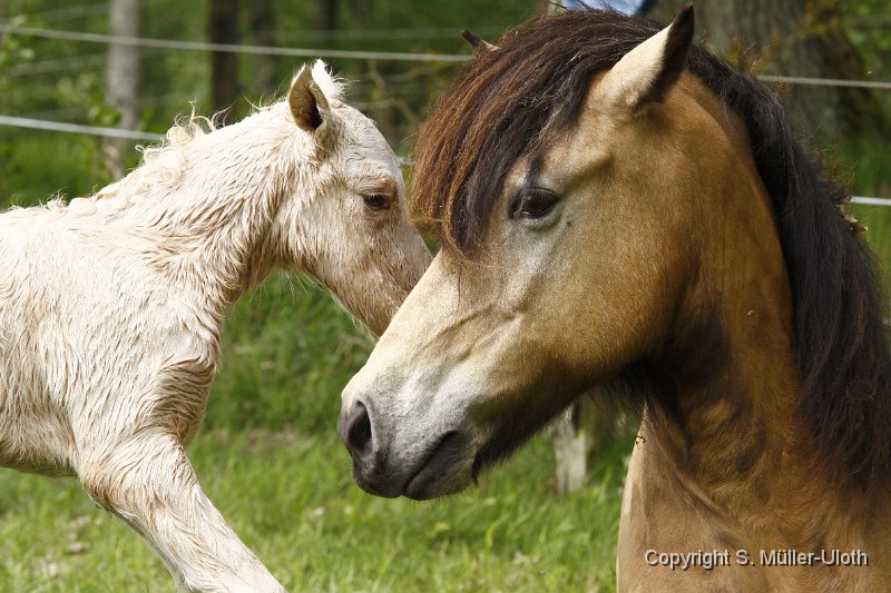 Hjoerdis 22 Min alt (20).JPG